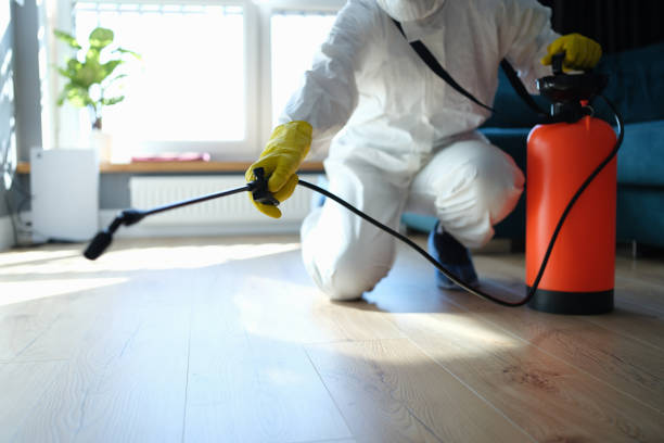 Reliable Unattended Death Cleanup contractor in Luning, NV by Trauma Clean Pros